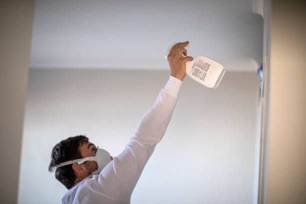 Best Residential Mold Remediation in Mpo, CA